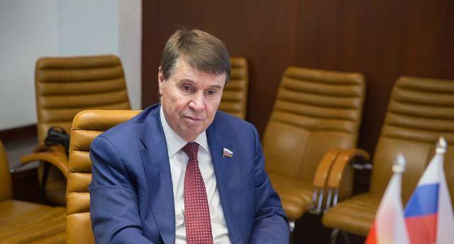 В Совфеде ответили на угрозу украинского политолога устроить «новый Перл-Харбор» для России