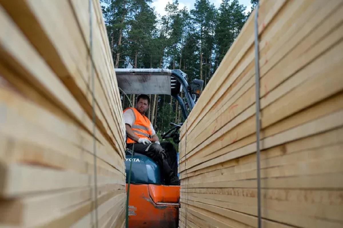 Иностранец вывез из Свердловской области в Узбекистан пиломатериалы на 2 млн рублей
