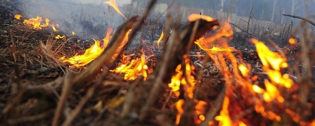 Жителей Подмосковья предупредили о высокой пожароопасности