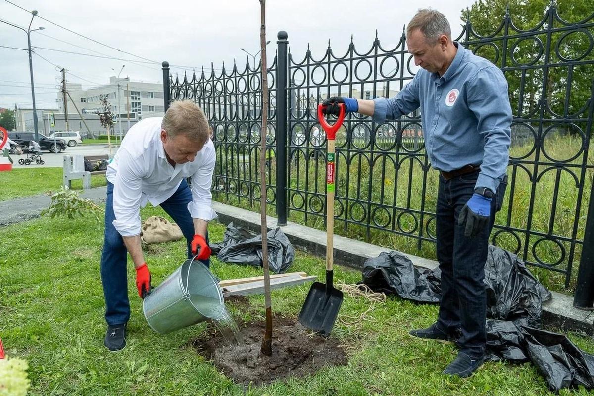 Мэр Южно-Сахалинска Сергей Надсадин поучаствовал в высадке Аллеи материнства