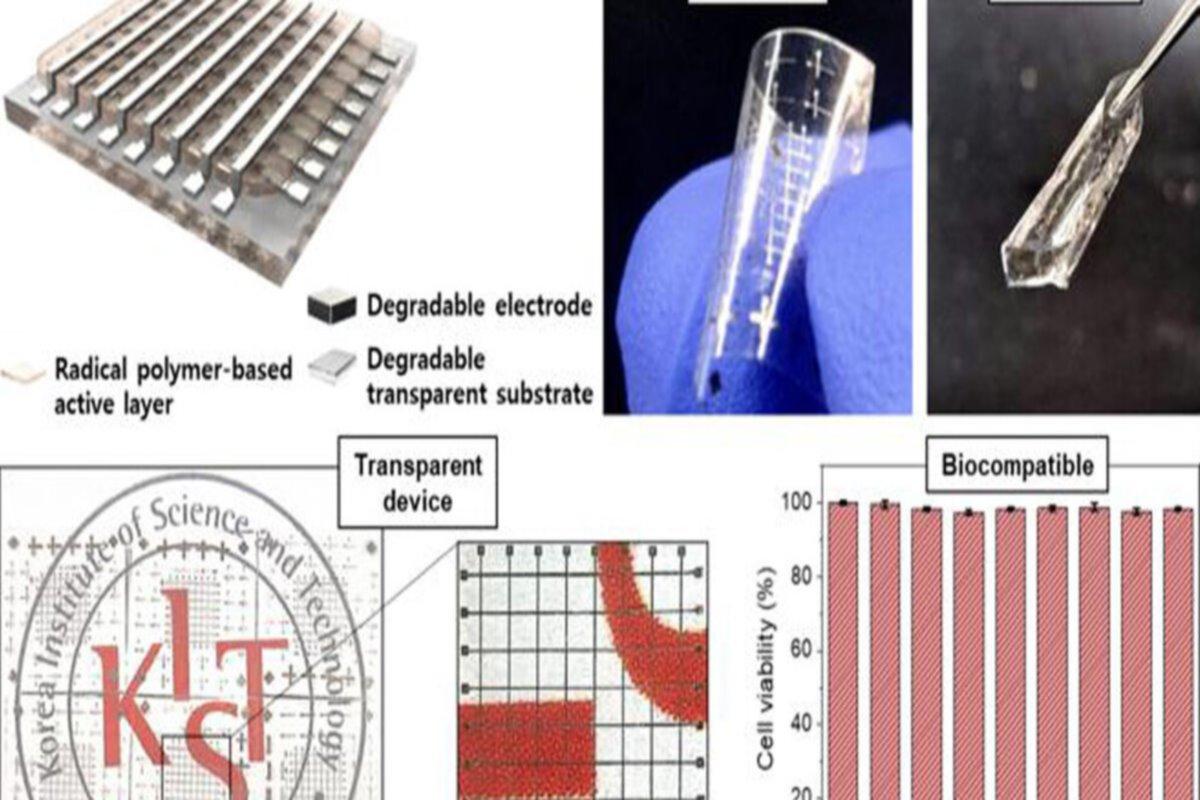 Корейские ученые разработали уникальный материал для гаджетов