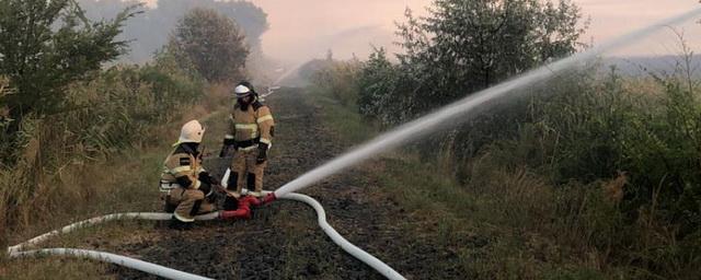 Пожар под Ростовом тушат с катера
