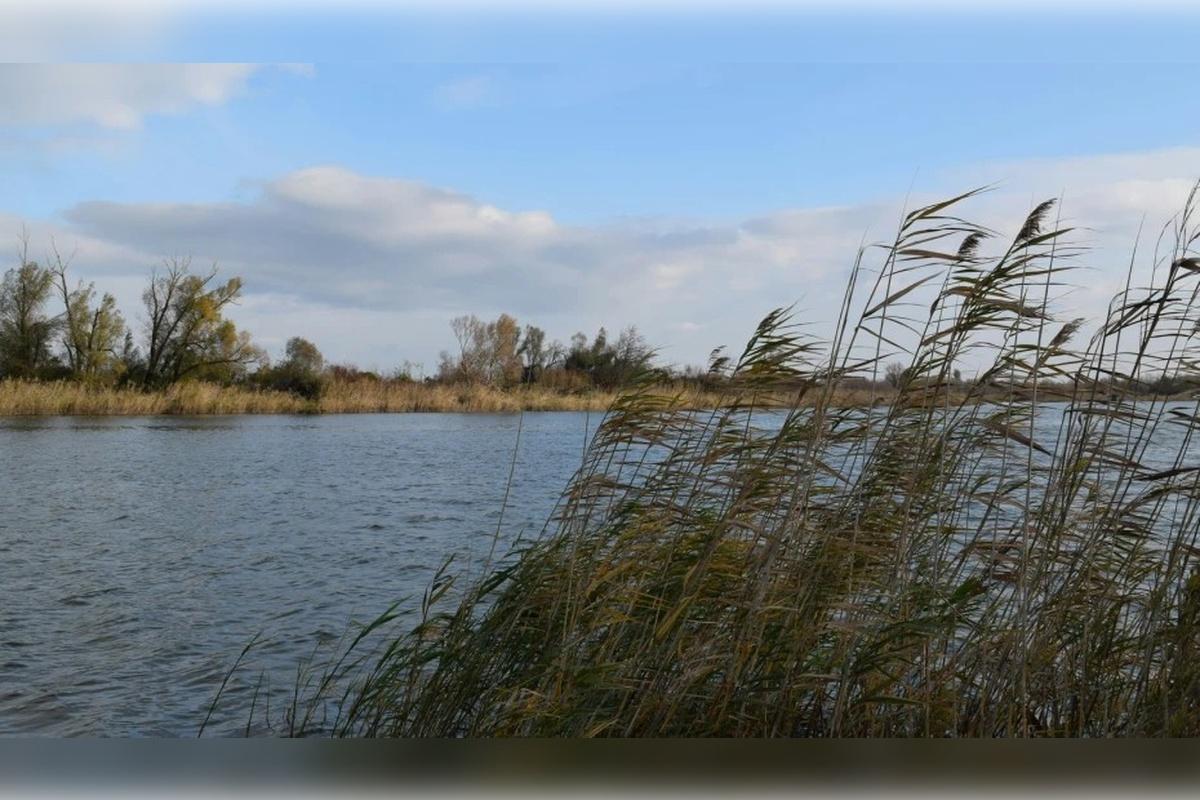 В Воронежской области создали схему охотничьих угодий