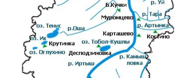 В реках Омской области специалисты выявили медь, ртуть и фенолы