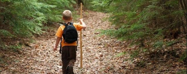 В ЕАО найден живым пропавший 4-летний мальчик Артем