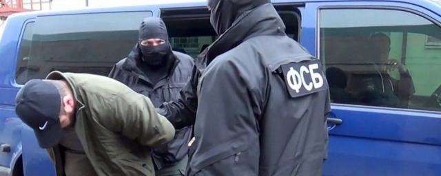 В Ярославской области задержали подростка, который изготовил взрывчатку и планировал теракт - Видео