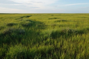 Калмыцкие земли получат шанс на вторую жизнь благодаря инновационным технологиям