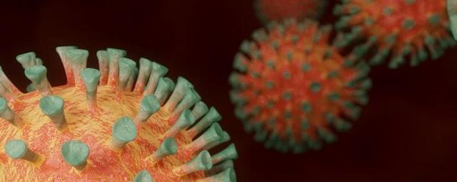 Глава ВОЗ прокомментировал появление нового штамма коронавируса в Японии