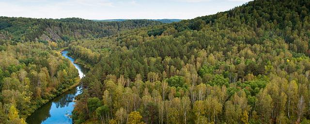 В Закдуме Хабаровского края обсудили перспективы лесной отрасли