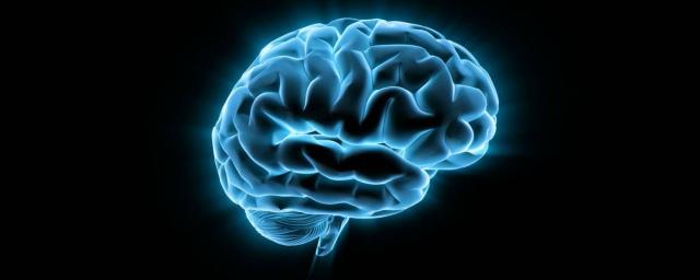 Психологи: Мозг человека склонен не верить в то, что ему не нравится