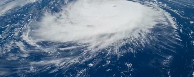 К Приморью приближается тайфун «Лупит»