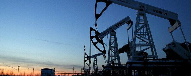 Доходы России от нефти и газа за три квартала упали на 36 %