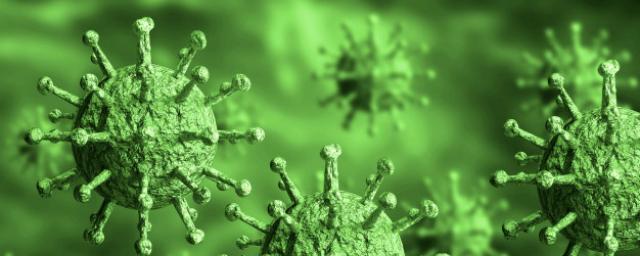 Ученые узнали, когда коронавирус начал передаваться человеку