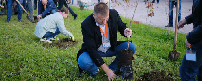 В Южно-Сахалинске около аэропорта высадили сад вишневых деревьев