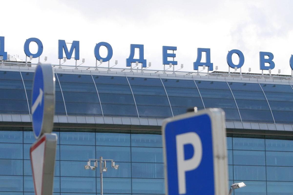 В Домодедово задержали контрабандистов драгоценных камней