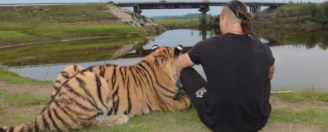 Бывший дрессировщик создал секретный приют для уставших тигров под Новосибирском