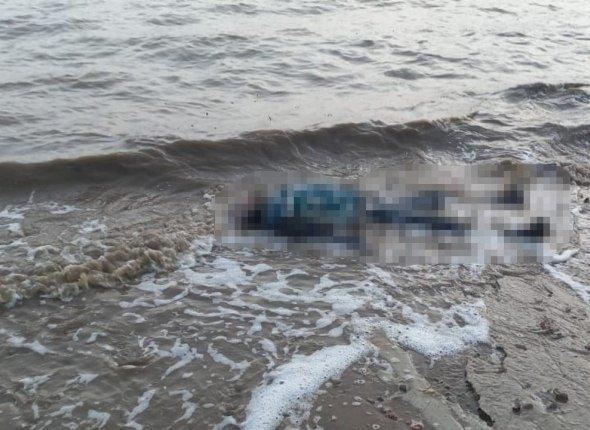 Труп мужчины обнаружили на берегу бухты Нагаева в Магадане