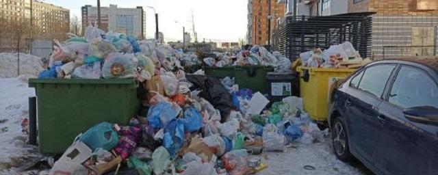 В Петербурге мусорный оператор НЭО отбивается от штрафов за плохую работу