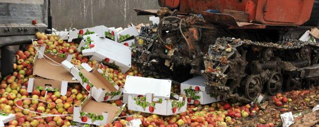 В Костроме с помощью бульдозера уничтожили 340 кг свежих фруктов
