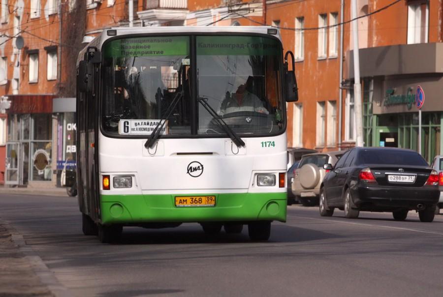 В Калининграде запустили программу по отслеживанию автобусов