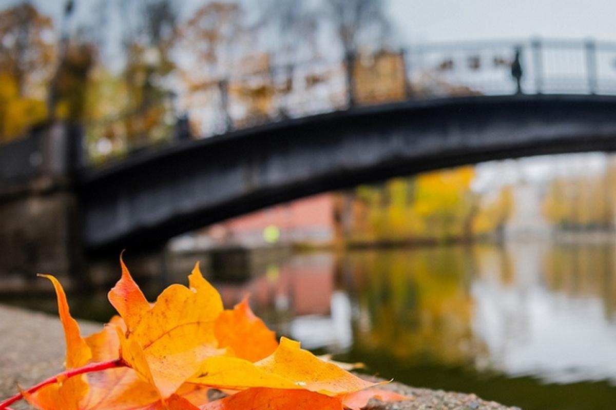 ГУ МЧС: на Смоленщину надвигается пасмурная погода с дождями и туманом