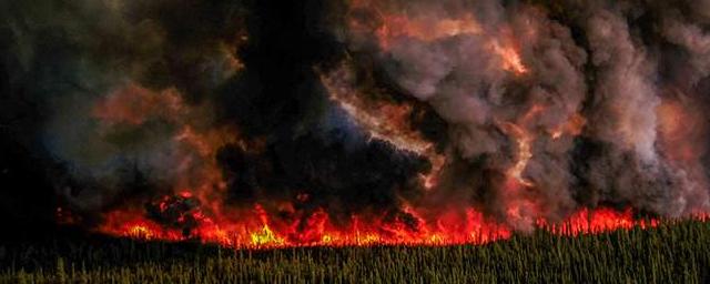 Зеленский: Украина готова оказать помощь Канаде в тушении лесных пожаров