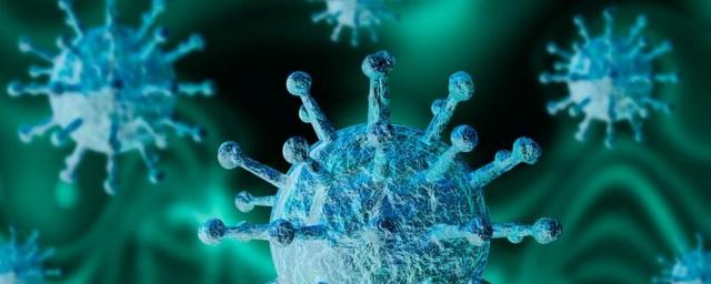 В Якутии выявили 75 новых случаев коронавируса