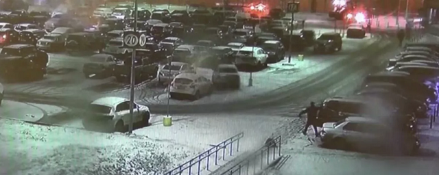 Задержан мужчина, повредивший топором 12 машин в Подмосковье