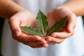 Лавровый лист как талисман: москвичка празднует лотерейный куш в 2,8 млн