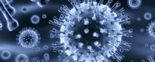 Ученые использовали вирусы в борьбе с раковыми клетками