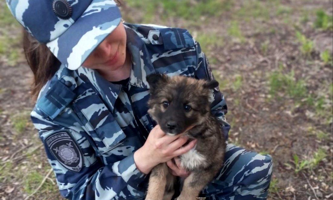 В Новосибирске полицейские приютили замерзающего щенка Муху