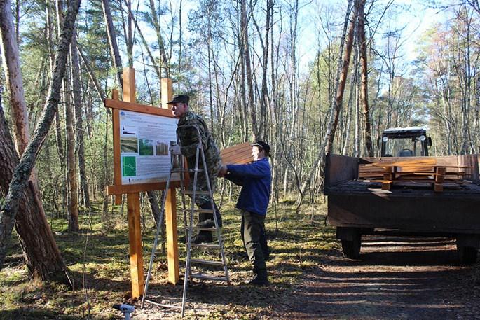 В Калининграде на Куршской косе откроют ландшафтный театр