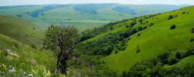 На Кубани создан новый природный заказник «Чехрак»