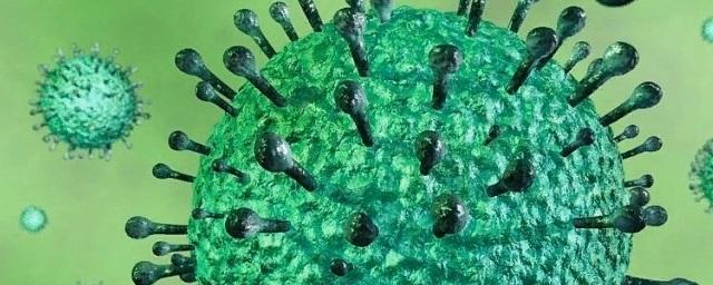 В Краснодарском крае коронавирус выявлен еще у 132 человек