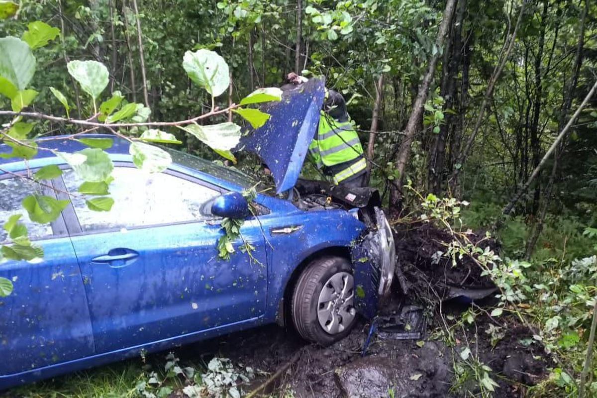 В Карелии легковая машина вылетела в кювет, ни никто не пострадал