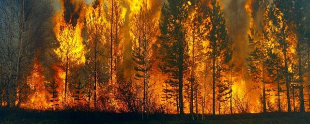 В Забайкальском крае ликвидировано два крупных пожара