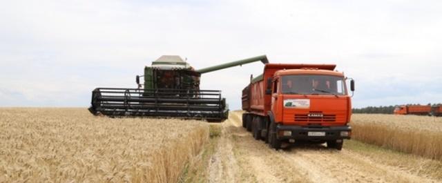 Белгородские аграрии закончили уборку ранних зерновых культур