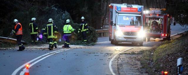 Более 20 пострадавших: В Германии столкнулся поезд с грузовиком