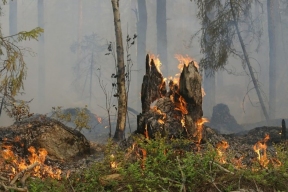 Forest arsonist was detected by an observer pilot in Priamurye region