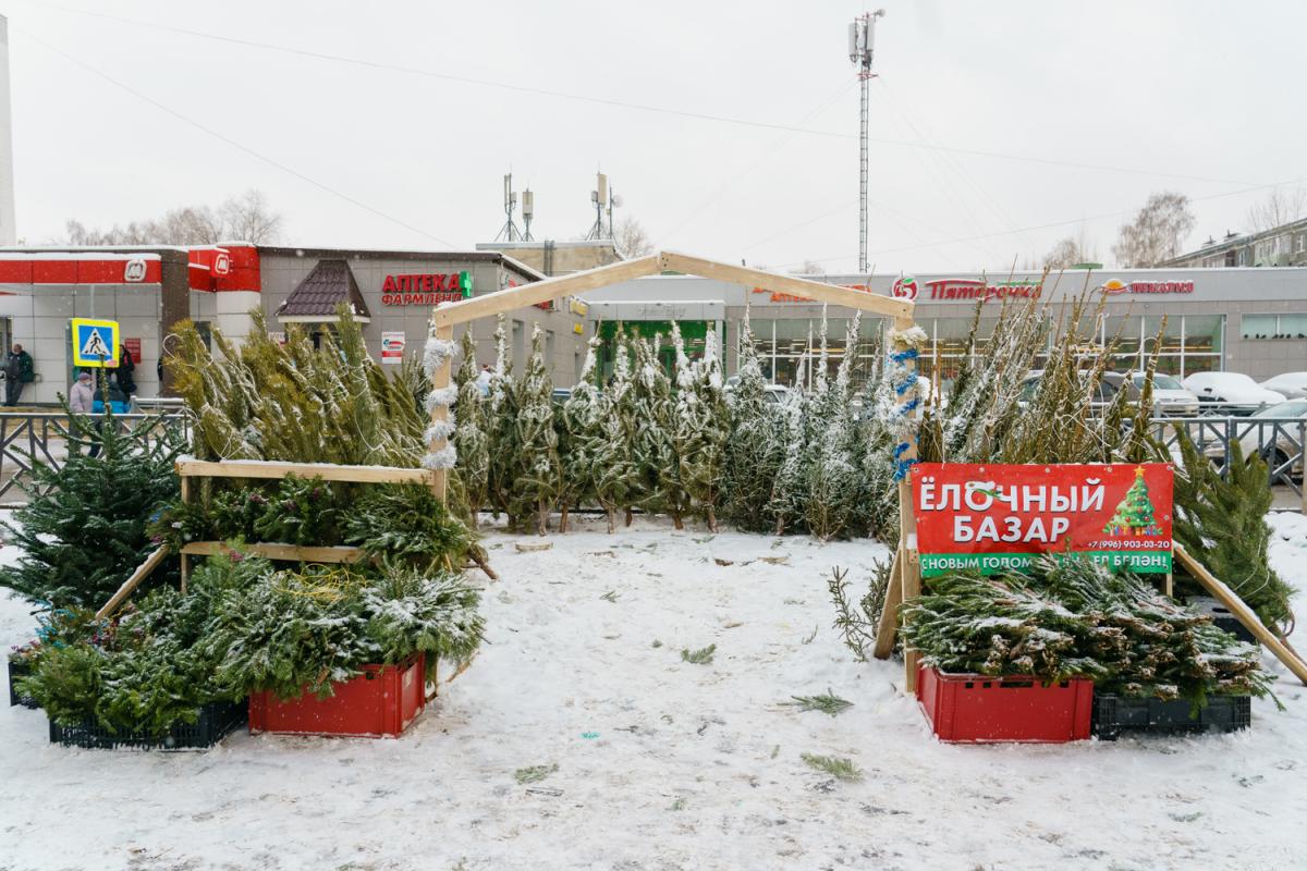 В Иркутске оштрафовали четырех нелегальных продавцов елок