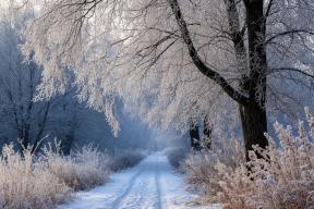 Оренбуржье ждёт новая волна морозной зимы