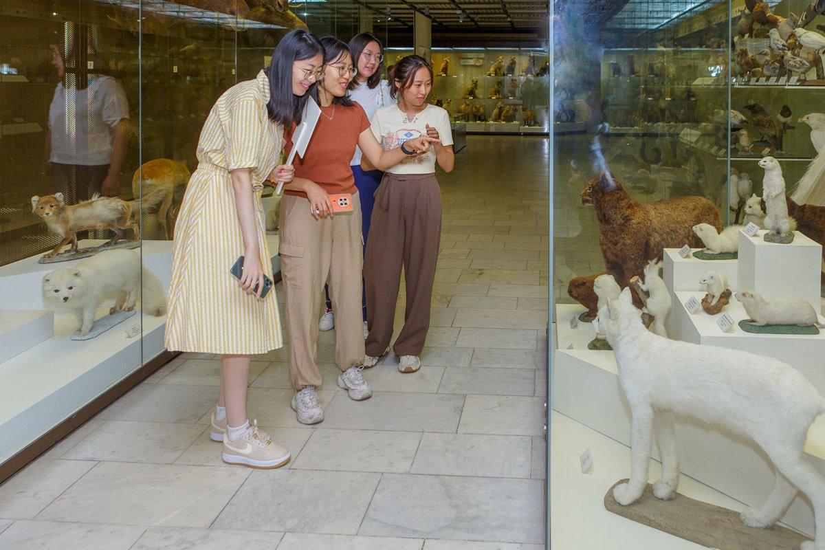 На базе московских городских музеев будут реализованы крупные международные проекты