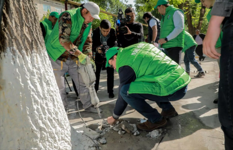 Ташкентские экоактивисты начали спасать деревья, замурованные в асфальт