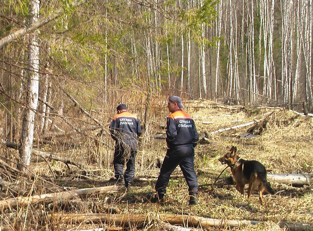 В Липецкой области без вести пропал четырехлетний мальчик