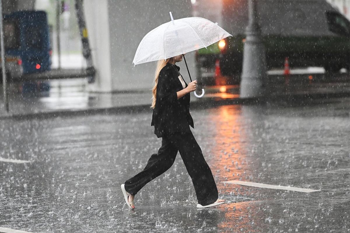 Климатолог назвал июнь самым экстремальным месяцем в Новосибирске