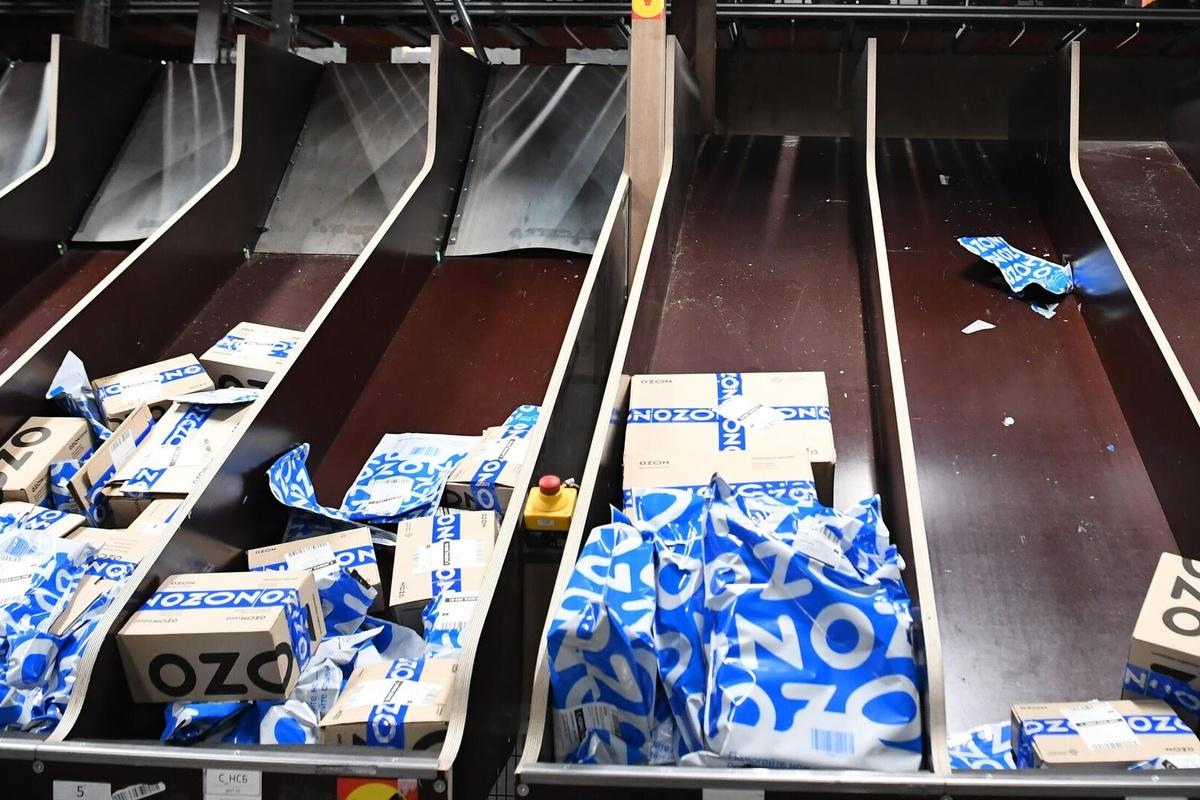 Жители Петербурга в 2025 году потратили на покупки в интернете 163 млрд рублей