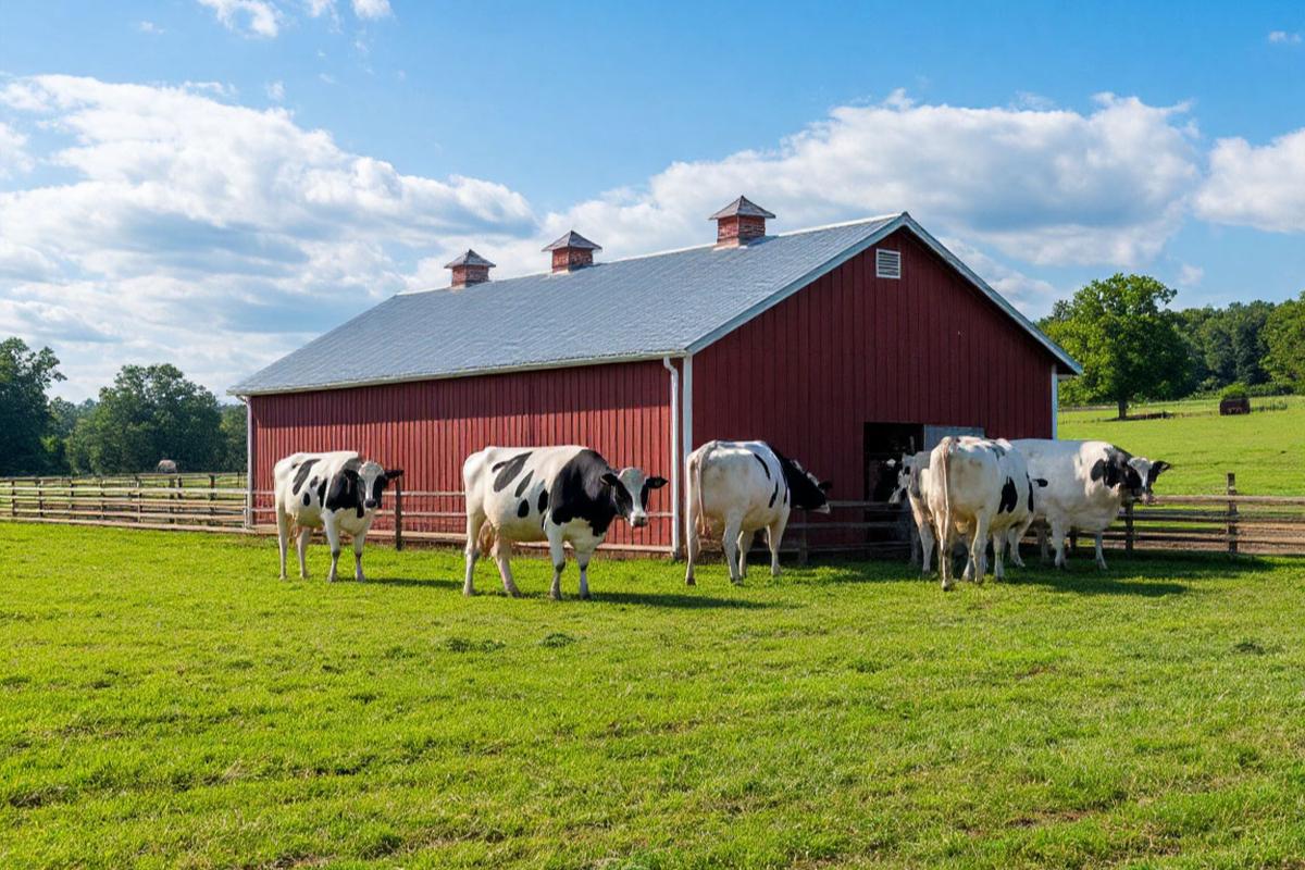 В сфере АПК Рязанской области не хватает более 1200 работников