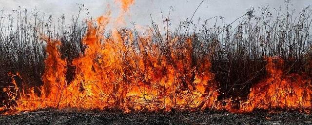 Рекордные степные пожары прошли почти 30 километров в Хакасии