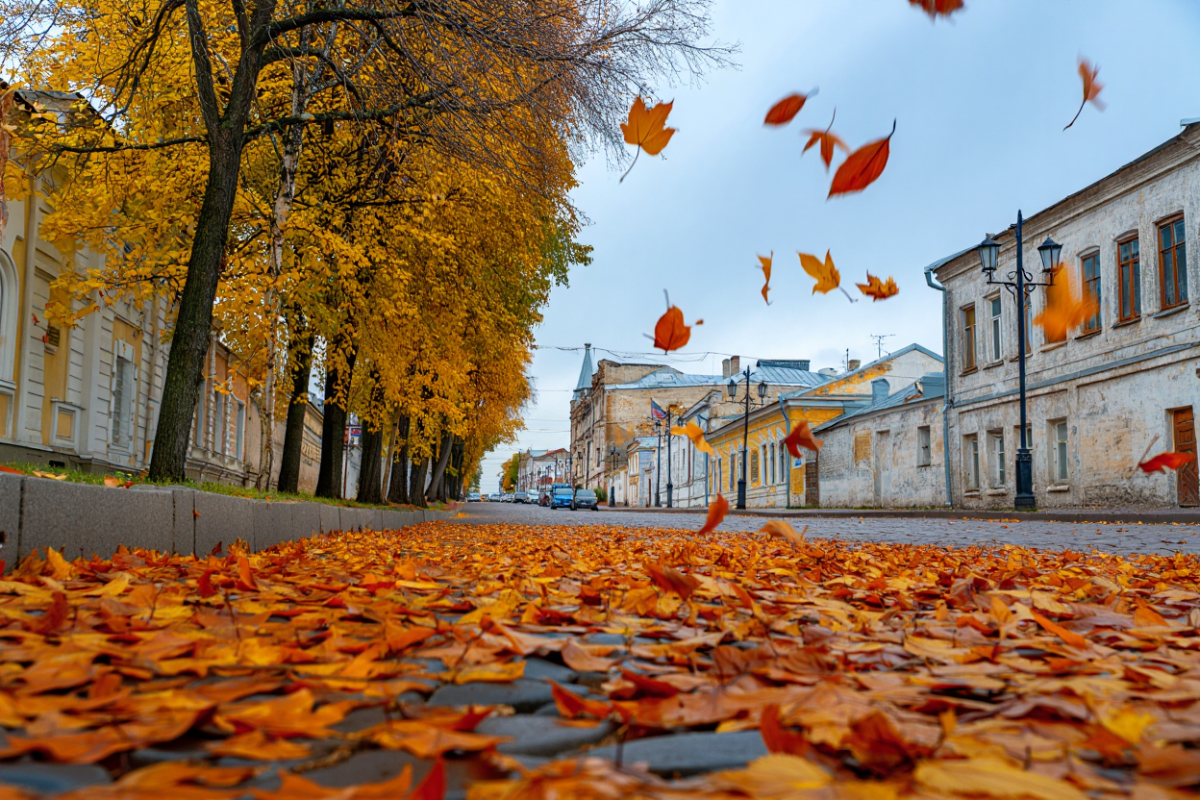 Врачи назвали способы облегчить переход от лета к осени
