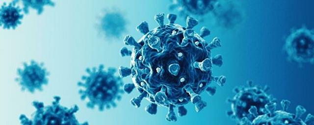 В Магаданской области выявлено 39 новых случаев коронавируса
